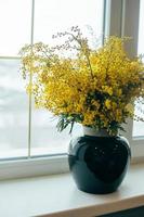 Bouquet of Mimosa flowers in blue vase on the windowsill next to the window. Happy women's day. photo