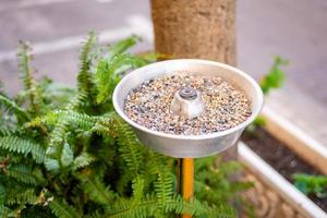 Aluminum ashtray with pebbles on a stand surrounded by fern leaves in a street cafe photo