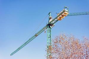 foto de una grúa de construcción verde junto a las copas de los árboles contra un cielo azul claro fotografiado desde abajo