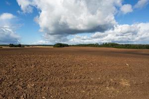 Latvian summer landscapes with clouds photo