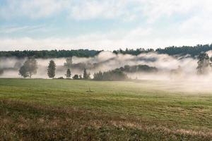 Latvian summer landscapes photo