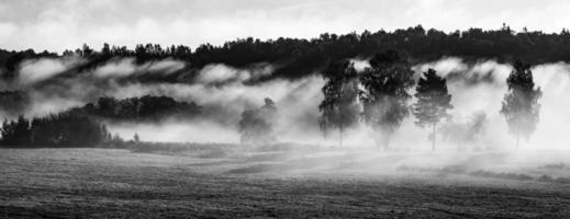 Landscapes of Latvia in Summer photo