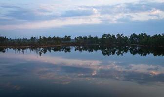 lago pantanoso en primavera foto