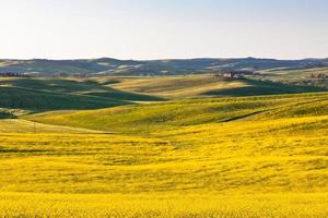 Outdoor Tuscan Val d Orcia green and yellow fields photo