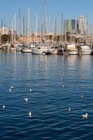 marina in barcelona on a sunny day photo