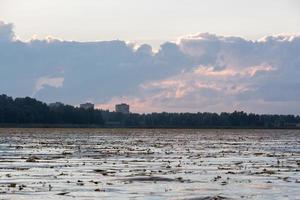 Lake Landscapes of Latvia in Summer photo