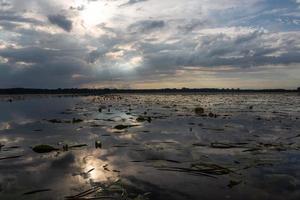 Lake Landscapes of Latvia in Summer photo