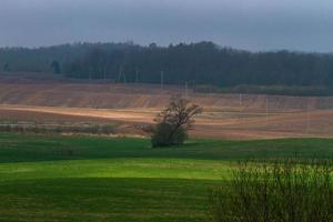 Latvian Springtime Landscapes photo