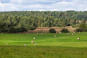 Latvian autumn landscape photo