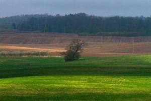 Latvian Springtime Landscapes photo