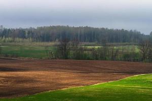 Latvian Springtime Landscapes photo