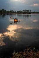 Swamp lake in Springtime photo