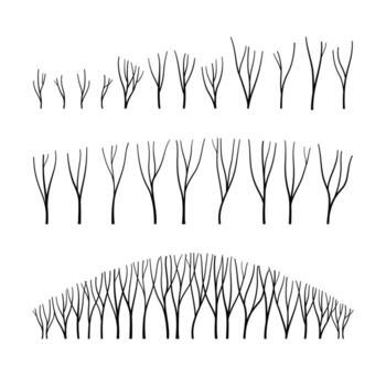 A set of trees and branches without foliage. Smooth lines. Vector illustration