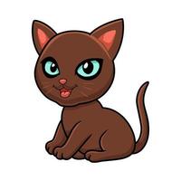 Cute havana brown cat cartoon vector