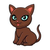 Cute havana brown cat cartoon vector