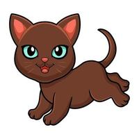 Cute havana brown cat cartoon vector