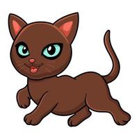 Cute havana brown cat cartoon vector