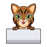 Cute pixie bob cat cartoon holding blank sign vector