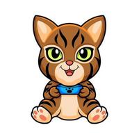 Cute pixie bob cat cartoon holding food bowl vector