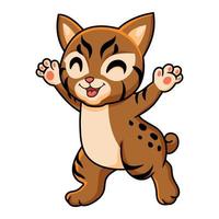 Cute pixie bob cat cartoon vector