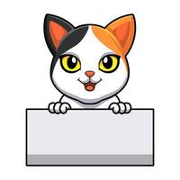 lindo, japonés, bobtail, gato, caricatura, tenencia, muestra en blanco vector