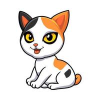 lindo, japonés, bobtail, gato, caricatura vector