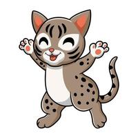 Cute ocicat cat cartoon walking vector