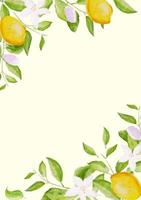 Card template, frame of watercolor hand drawn blooming lemon tree branches, flowers and lemons on white background. Template for greeting, birthday cards, posters with text place. Vector EPS10