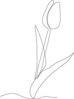 Tulip flower black and white continuous line drawing. One line art. Vector illustration