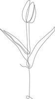 Tulip flower black and white continuous line drawing. One line art. Vector illustration