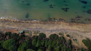 Top view of the beach of the gulf of Baratti Tuscany Italy video