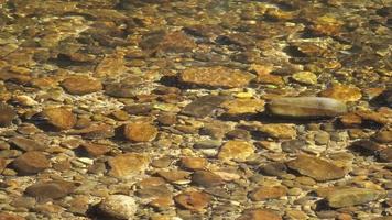 Stones at the bottom of the river under a layer of clear water video