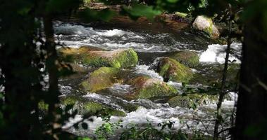 Mountain river flows between stones on a beautiful day video