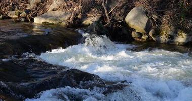 une rivière en hiver avec une petite cascade coule rapidement avec des éclaboussures et des mousses. au ralenti video