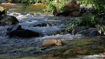 Fluss in Zeitlupe, der zwischen Felsen mit kleinen Wasserfällen fließt video