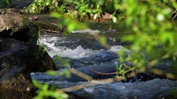 slow motion river flowing between rocks, view with vegetation in the foreground video