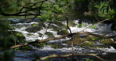 The fast river flows between the cascading stones video