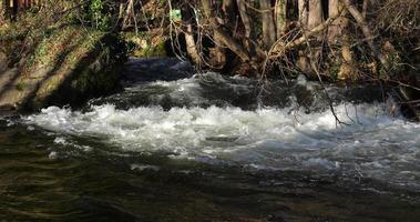 kleiner wasserfall, der von einem reichlichen wasserstrom spritzt, der in den fluss fällt video