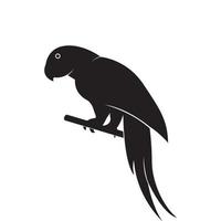 parrot icon vector