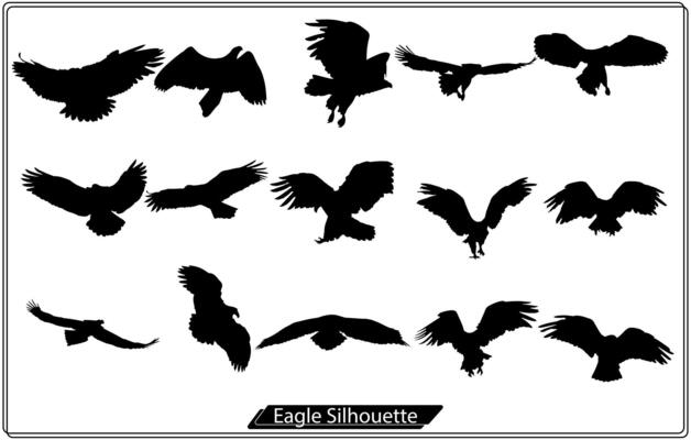 Bald Eagle silhouette isolated on white Free