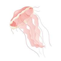 Vector isolated cartoon illustration on white background. Realistic pink jellyfish. Design element for decoration on the theme of marine life.