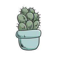 Vector doodle illustration of home plant, cactus in a pot.