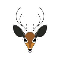 The face of a doe. Cartoon style. Color drawing. vector