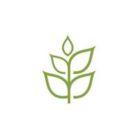 logotipos de la ecología de la hoja del árbol verde vector