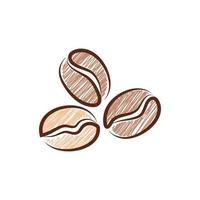 coffee bean icon vector