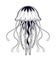 icono de mar de medusas vector