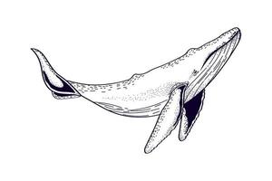 icono de mar de ballenas vector