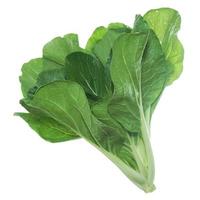 Chinese cabbage isolated on white background. photo