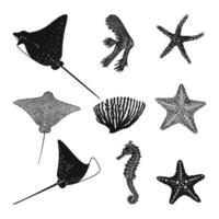 Set of monochrome marine animals isolated on white background. Stingray, starfish, seahorse and fish vector