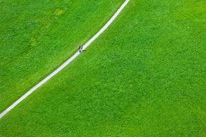 Walking footpath in green field photo